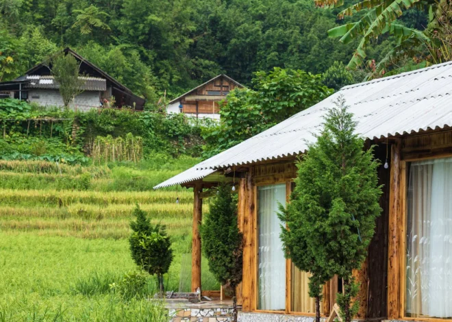 Khám Phá Hoa Chanh Bungalow Lào Cai: Thiên Đường Nghỉ Dưỡng Giữa Thiên Nhiên Tây Bắc